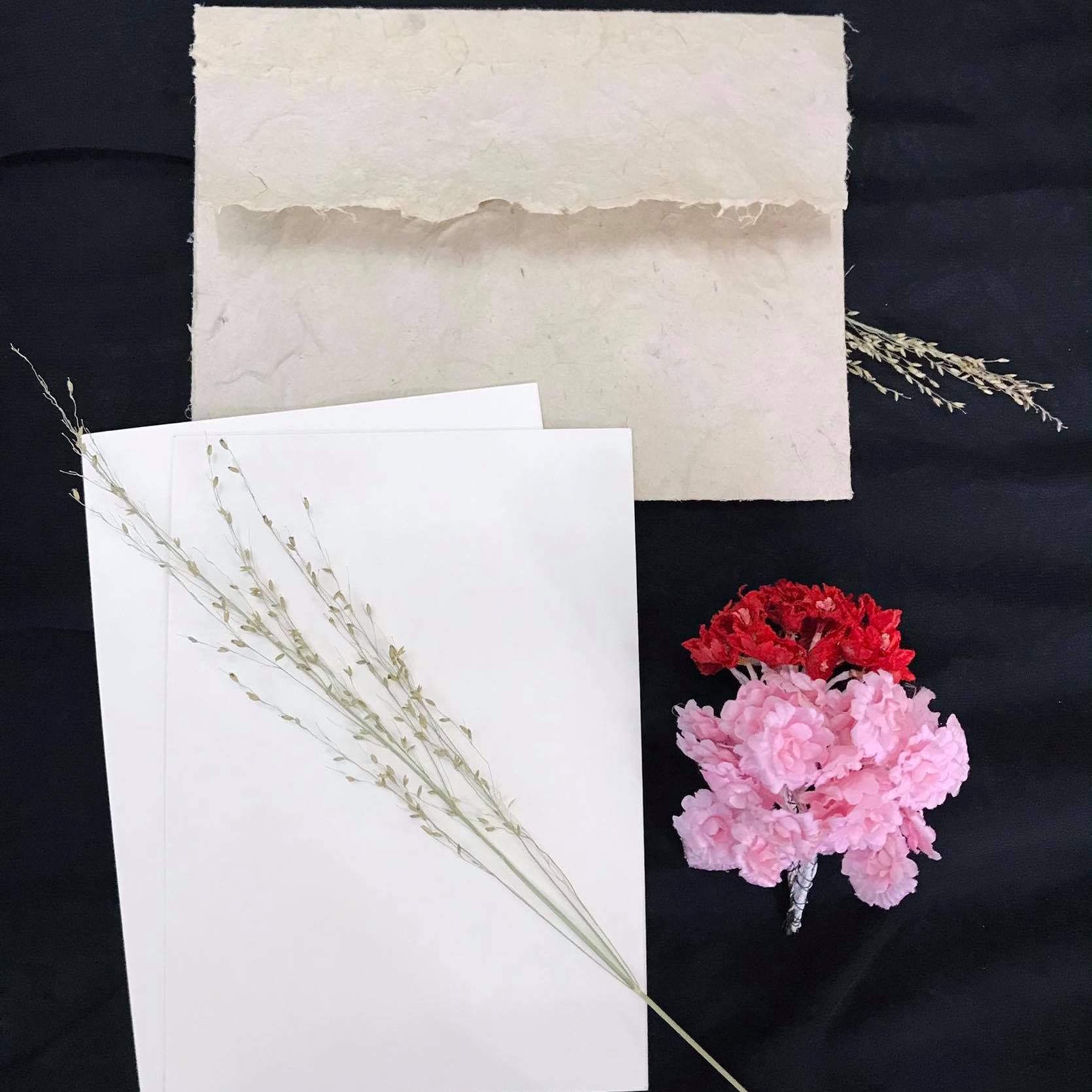 Blank Cards with Grass Handmade Envelope